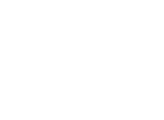 logo FPV blanco